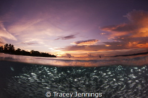 Whilst everyone else returned to the boat, I grabbed anot... by Tracey Jennings 